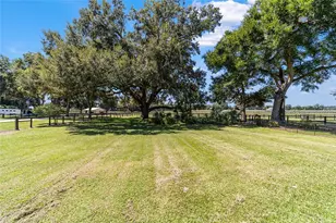 16050 NW 10th Cir, Citra, FL 32113 - Photo 58