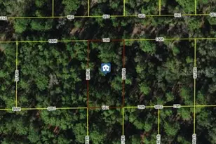 7334 W Contentment Ln, Dunnellon, FL 34433 - Photo 1