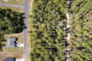 Tbd SW 41st Circle, Ocala, FL 34473 - Photo 1