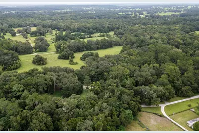 7901 NW 125th Street, Reddick, FL 32686 - Photo 54