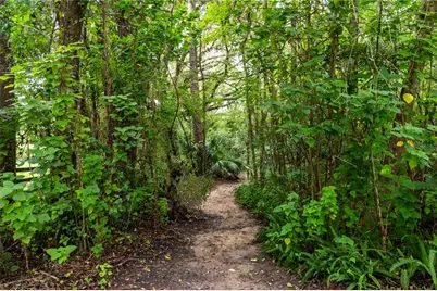 7901 NW 125th Street, Reddick, FL 32686 - Photo 50