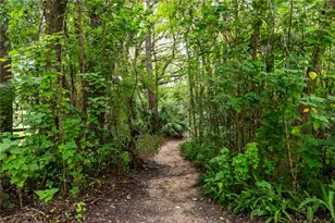 7901 NW 125 St, Reddick, FL 32686 - Photo 50