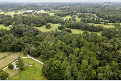 7901 NW 125th Street, Reddick, FL 32686 - Photo 52