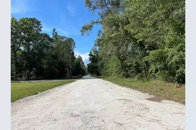 Tbd SE 140 Avenue, Morriston, FL 32668 - Photo 2