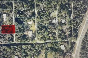 20790 NE 146th Ct, Fort Mc Coy, FL 32134 - Photo 1