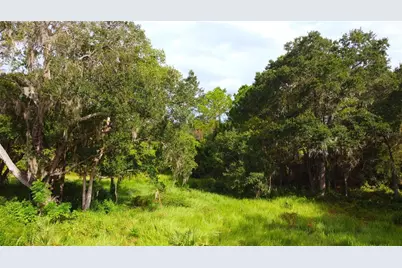 11701 SE Highway 464, Ocklawaha, FL 32179 - Photo 8