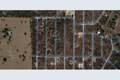 Tbd NE 148 Terrace, Williston, FL 32696 - Photo 1