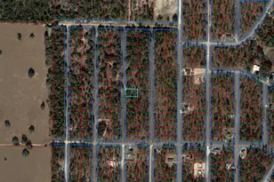 Tbd NE 148 Terrace, Williston, FL 32696 - Photo 1