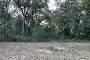 Tbd NE 155 Ct, Williston, FL 32696 - Photo 1