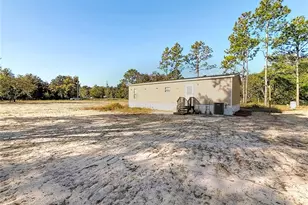 9651 NE 105th Ave, Archer, FL 32618 - Photo 4