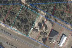 Tbd NE Hwy 27 Alt, Bronson, FL 32621 - Photo 1