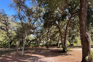 8260 SE 175th Ct, Ocklawaha, FL 32179 - Photo 82