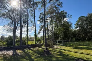 8260 SE 175th Ct, Ocklawaha, FL 32179 - Photo 80