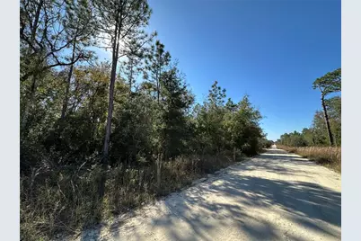 Tbd NE 15th Street, Williston, FL 32696 - Photo 1