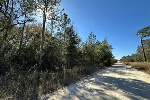 Tbd NE 15th St, Williston, FL 32696 - Photo 1