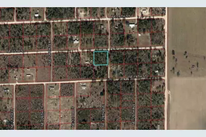 Tbd NE 15th Street, Williston, FL 32696 - Photo 2