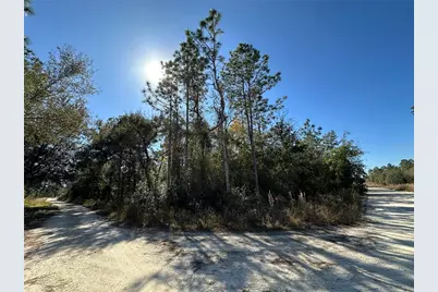 Tbd NE 15th Street, Williston, FL 32696 - Photo 4