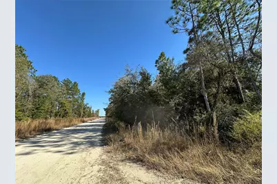 Tbd NE 15th Street, Williston, FL 32696 - Photo 6