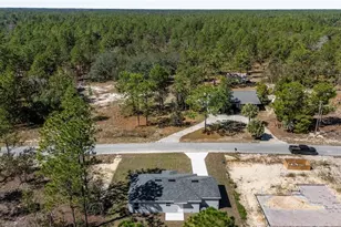 24134 NW Tamarind Ln, Dunnellon, FL 34431 - Photo 42