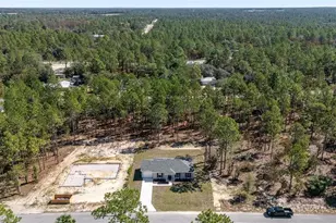 24134 NW Tamarind Ln, Dunnellon, FL 34431 - Photo 36