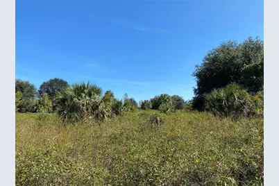 Xxxx NE 3rd Ct, Citra, FL 32113 - Photo 4