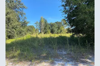 Xxxx NE 3rd Ct, Citra, FL 32113 - Photo 1