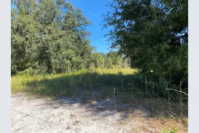 Xxxx NE 3rd Ct, Citra, FL 32113 - Photo 2