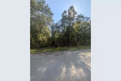 10484 N Holcomb Drive, Citrus Springs, FL 34434 - Photo 8