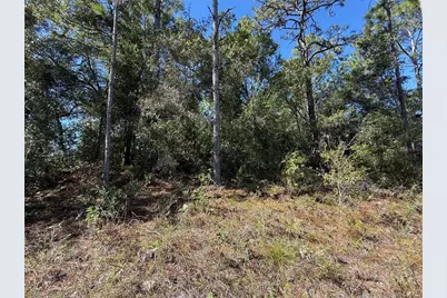 11073 N Haitian Drive, Citrus Springs, FL 34434 - Photo 2