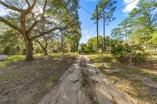 20470 NE 142nd Ln, Fort Mc Coy, FL 32134 - Photo 18
