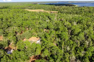 20470 NE 142nd Ln, Fort Mc Coy, FL 32134 - Photo 24