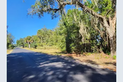 Tbd SW 175 Court, Dunnellon, FL 34432 - Photo 8