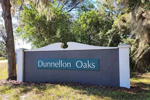 Tbd SW 175 Ct, Dunnellon, FL 34432 - Photo 1