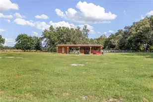 11999 Co Rd 223, Oxford, FL 34484 - Photo 50