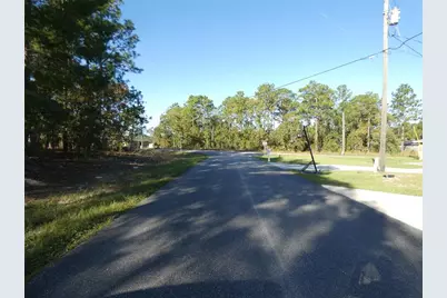 7809 N Jamaica Drive, Citrus Springs, FL 34433 - Photo 4