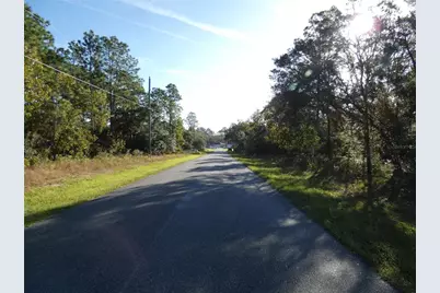 7809 N Jamaica Drive, Citrus Springs, FL 34433 - Photo 2