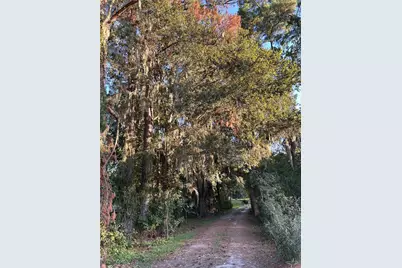 7505 NW 137th Avenue, Morriston, FL 32668 - Photo 4