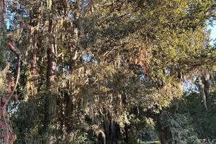 7505 NW 137th Ave, Morriston, FL 32668 - Photo 4