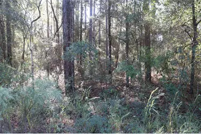 00 SW 39 Street, Dunnellon, FL 34432 - Photo 2