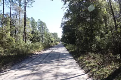 00 SW 39 Street, Dunnellon, FL 34432 - Photo 6