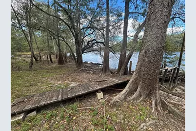 1347 NE 519th Avenue, Old Town, FL 32680 - Photo 6