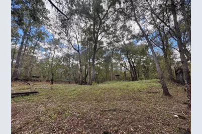 1347 NE 519th Avenue, Old Town, FL 32680 - Photo 8