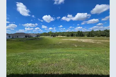 427 W Twisted Oaks Drive, Beverly Hills, FL 34465 - Photo 34