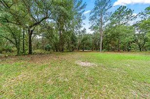 15888 NE 152 Ave, Fort Mc Coy, FL 32134 - Photo 8