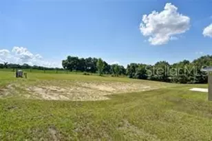 10625 SE 101st Ct, Belleview, FL 34420 - Photo 52