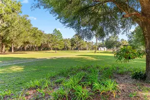 16876 NE 30th Ct, Citra, FL 32113 - Photo 6