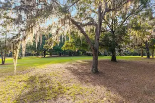 16876 NE 30th Ct, Citra, FL 32113 - Photo 10