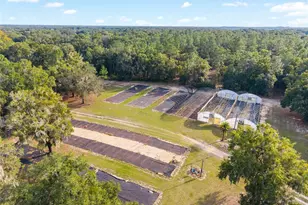 16876 NE 30th Ct, Citra, FL 32113 - Photo 50