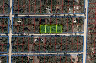 Tbd NE 66th Ln, Williston, FL 32696 - Photo 1