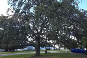 12667 SE 101st Ct, Belleview, FL 34420 - Photo 4